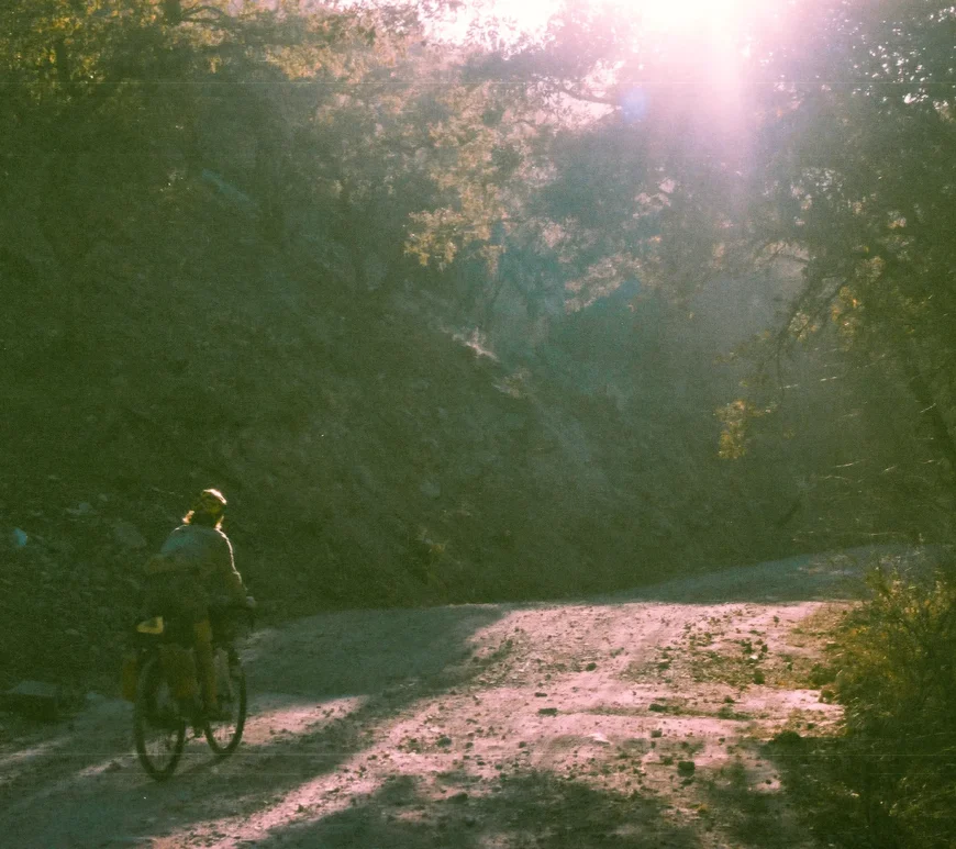 A cyclist rides through the forest on a rocky gravel road. Trees stand on either side of the cyclist, and the sun is peeking out from behind the canopy.